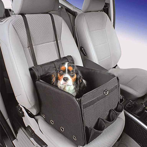 کیف حمل حیوانات در اتومبیل